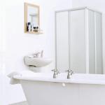 clean and sanitize the bathroom